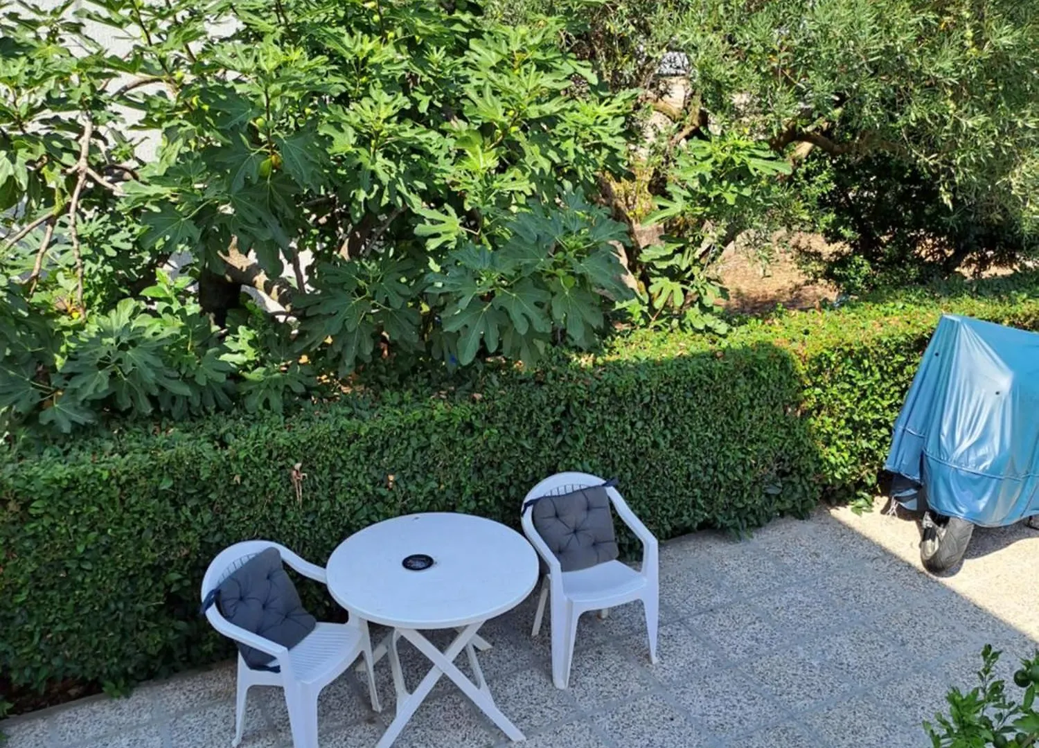 Apartments Luigi Umag Kroatien